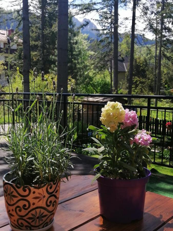 Dom Pod Skocznia Apartment Zakopane Bagian luar foto