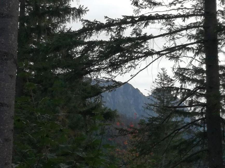 Dom Pod Skocznia Apartment Zakopane Bagian luar foto