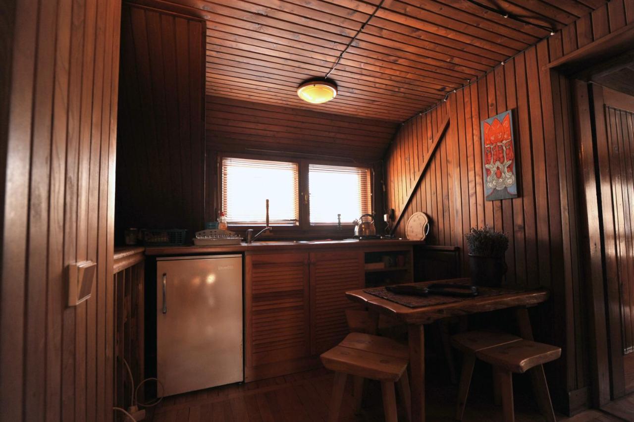 Dom Pod Skocznia Apartment Zakopane Bagian luar foto