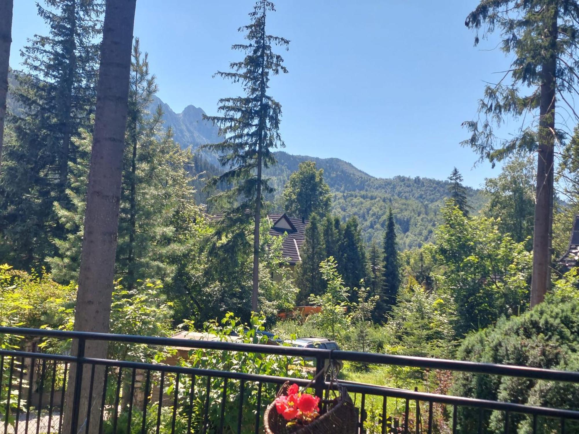 Dom Pod Skocznia Apartment Zakopane Bagian luar foto