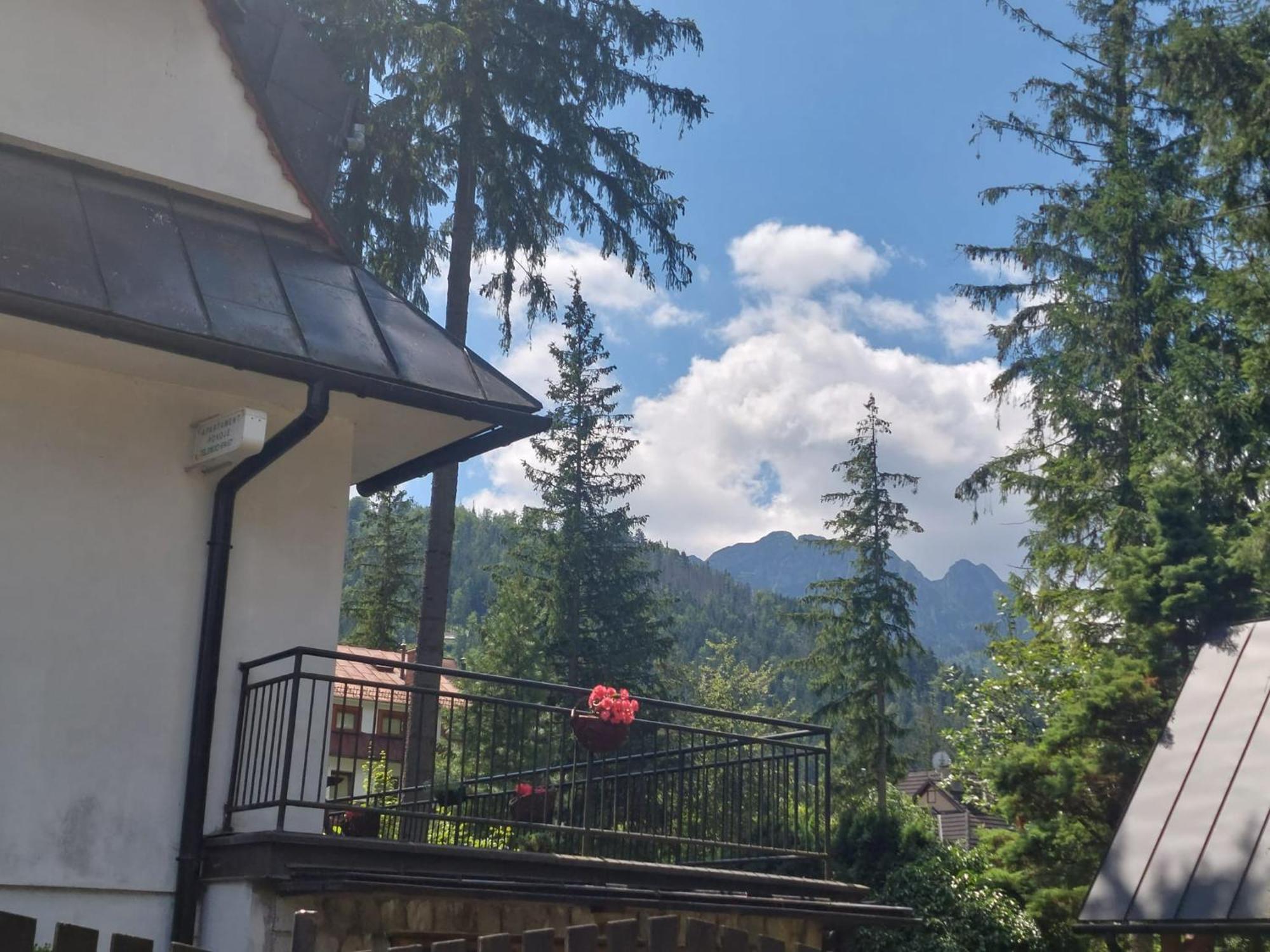 Dom Pod Skocznia Apartment Zakopane Bagian luar foto