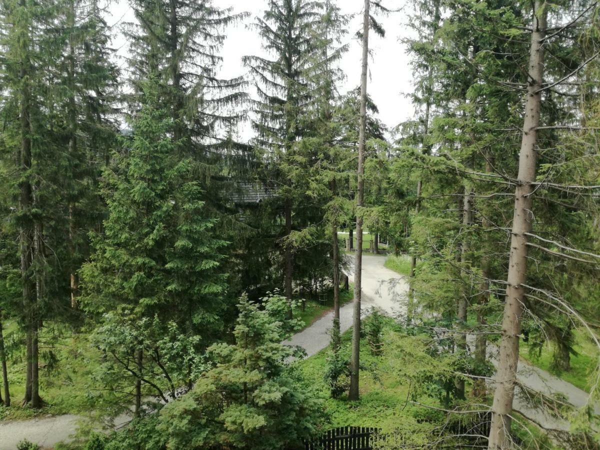 Dom Pod Skocznia Apartment Zakopane Bagian luar foto