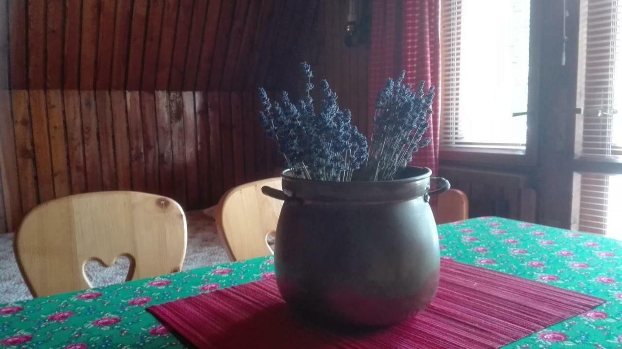 Dom Pod Skocznia Apartment Zakopane Bagian luar foto