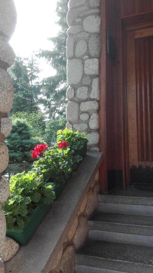 Dom Pod Skocznia Apartment Zakopane Bagian luar foto