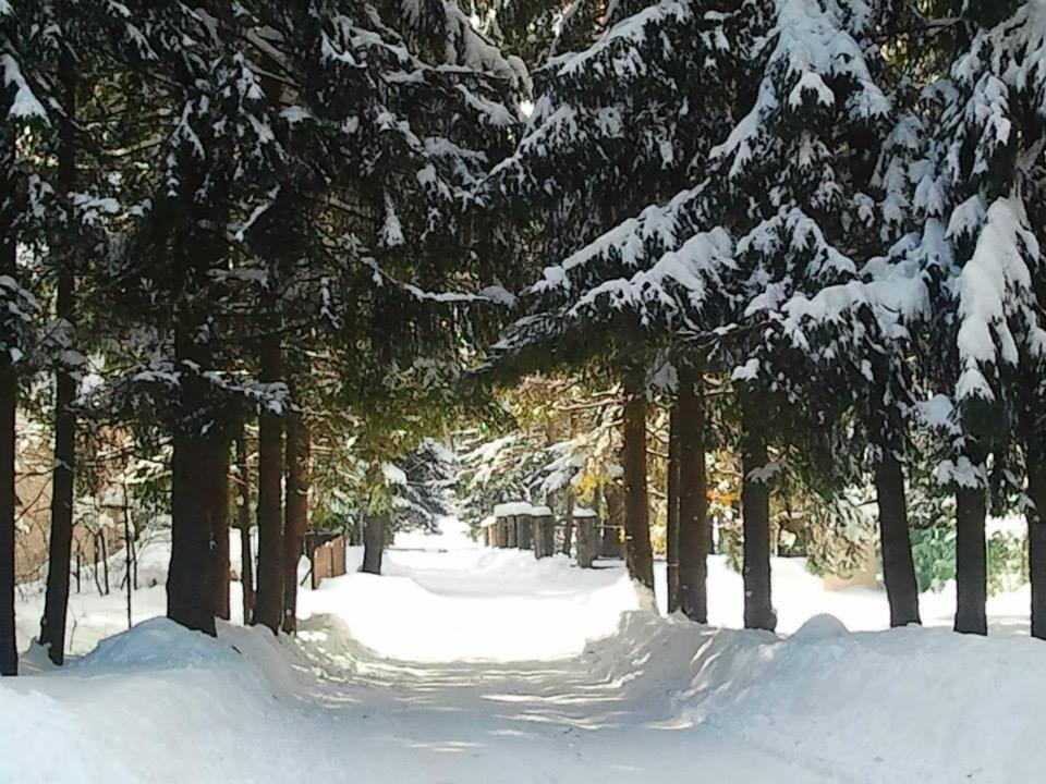 Dom Pod Skocznia Apartment Zakopane Bagian luar foto